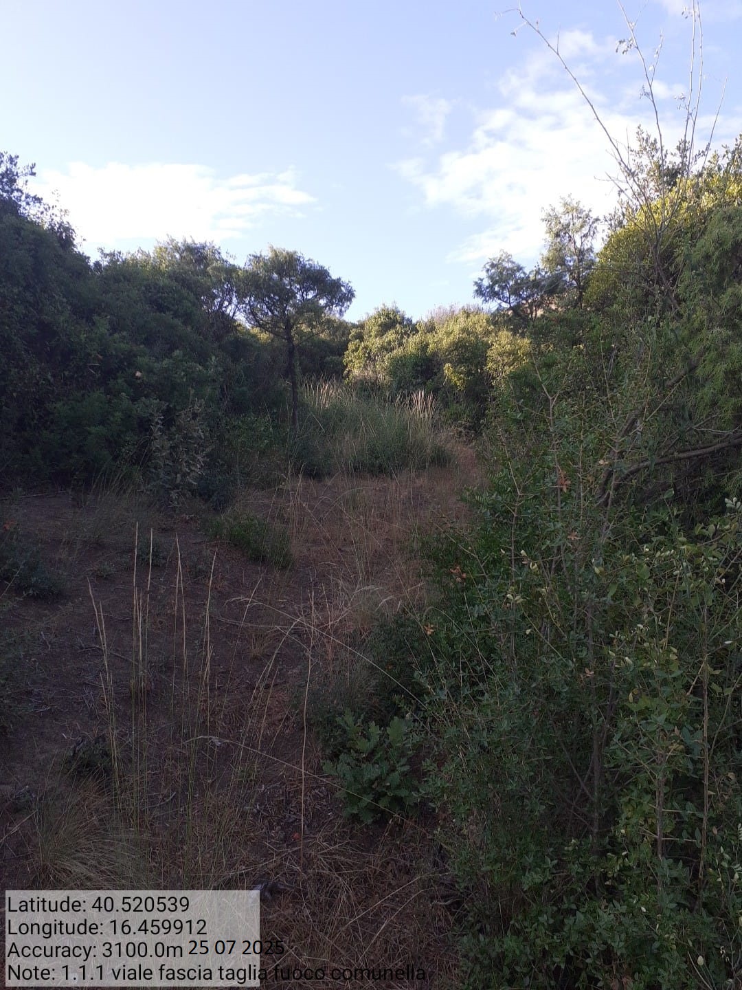 Galleria Fotografica Immagine