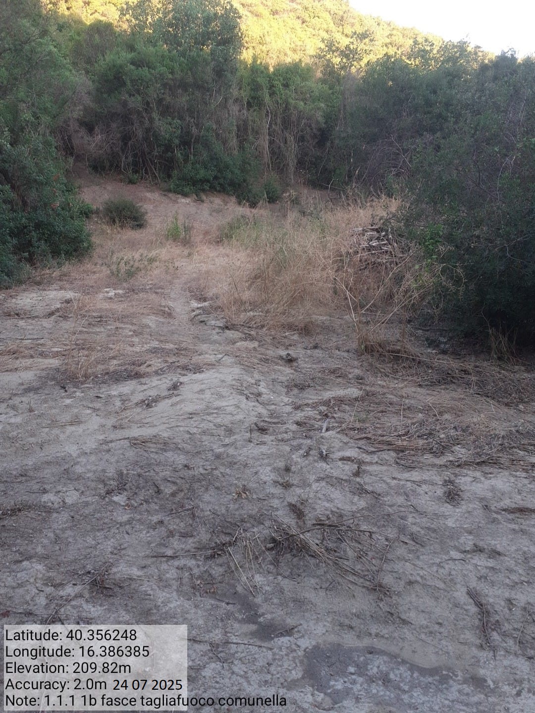 Galleria Fotografica Immagine