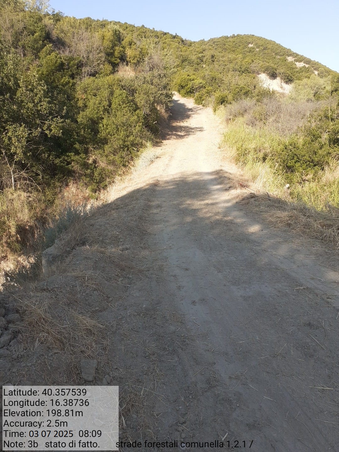 Galleria Fotografica Immagine