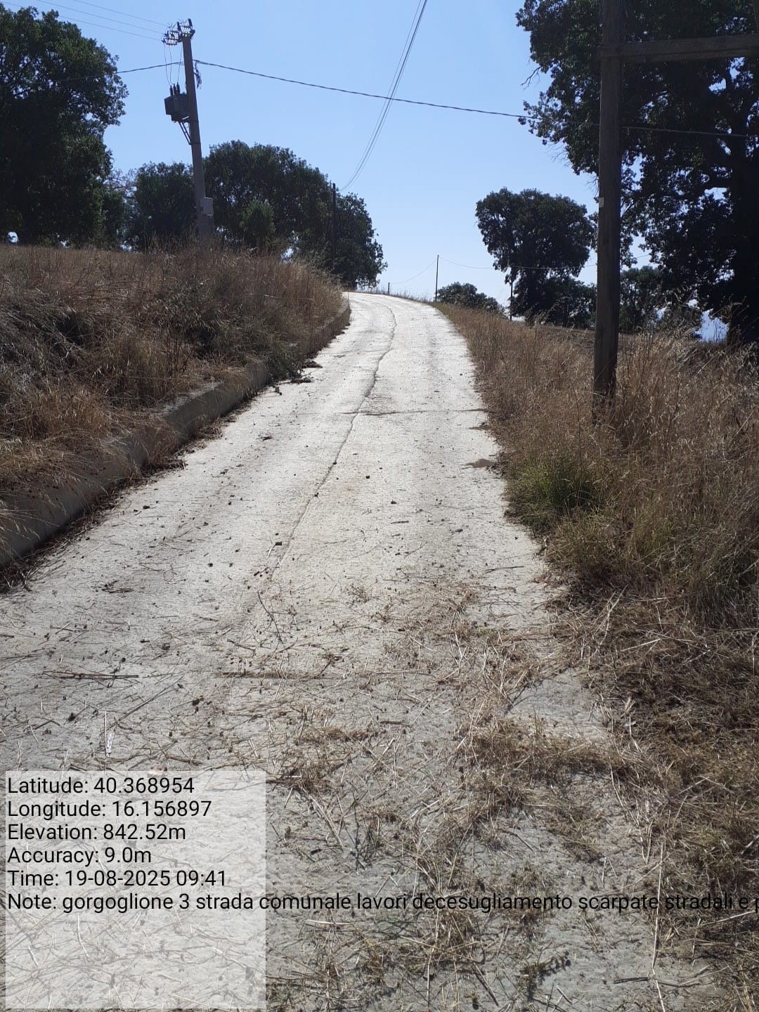 Galleria Fotografica Immagine