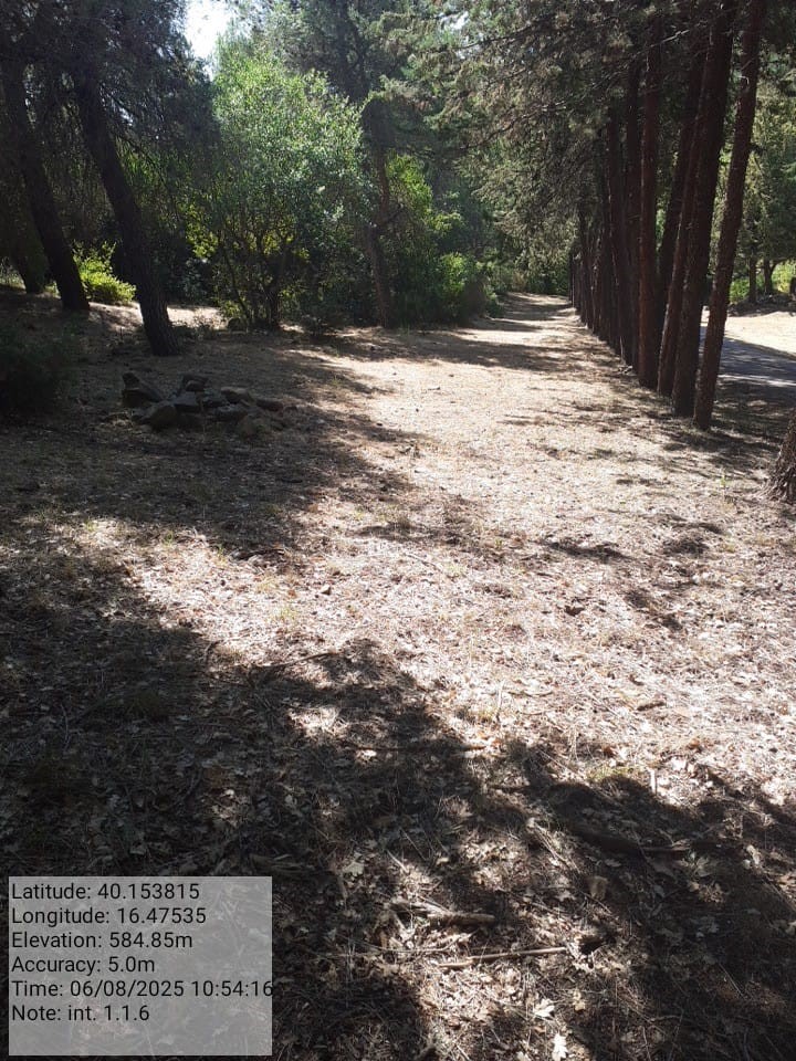 Galleria Fotografica Immagine