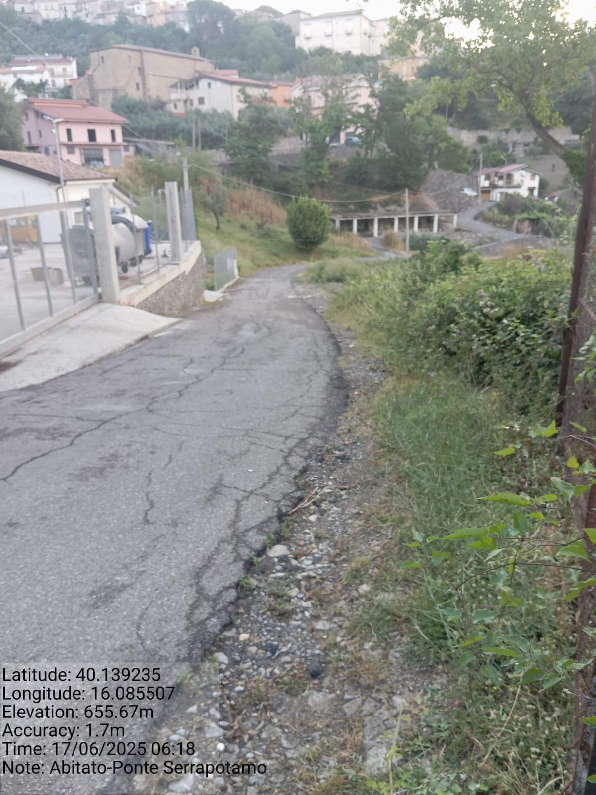 Galleria Fotografica Immagine