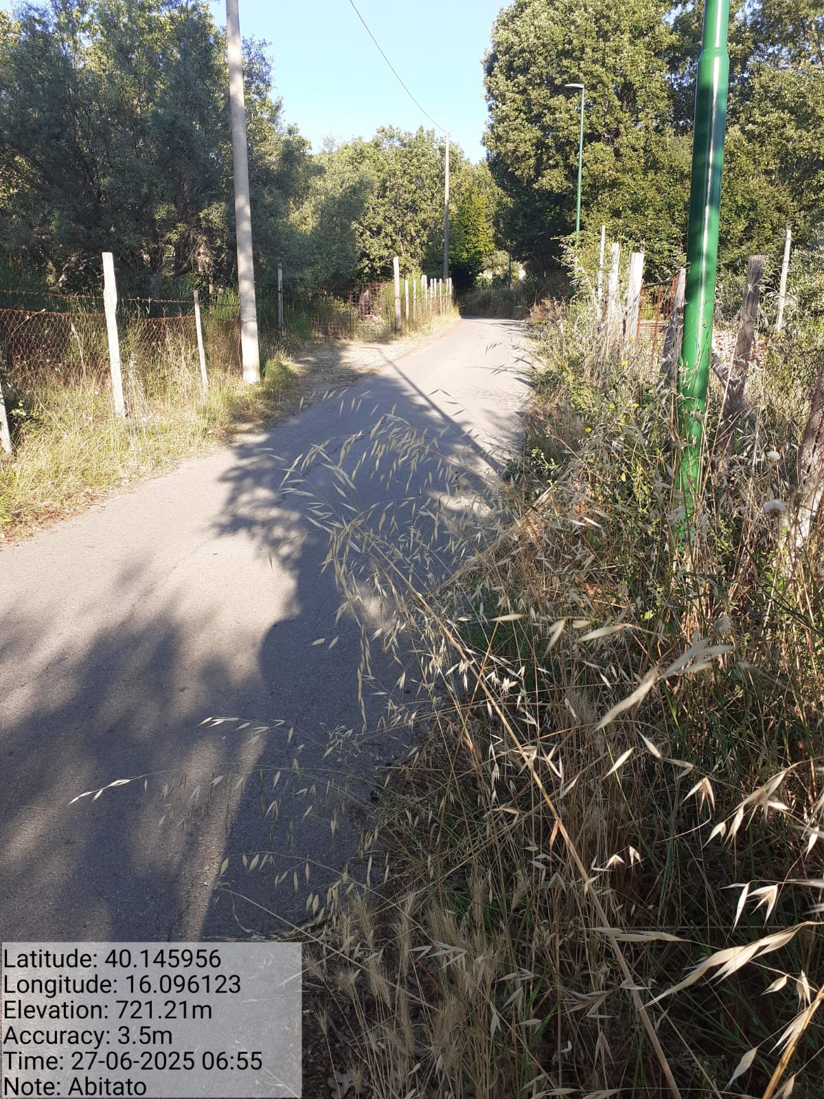 Galleria Fotografica Immagine