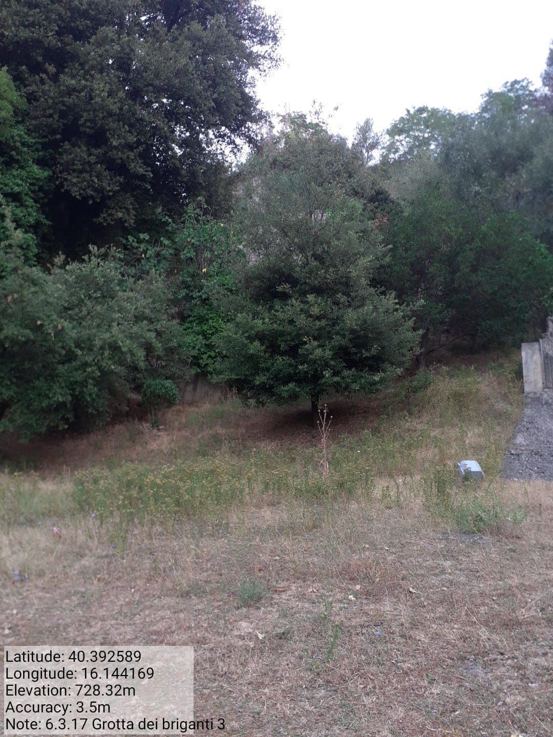 Galleria Fotografica Immagine