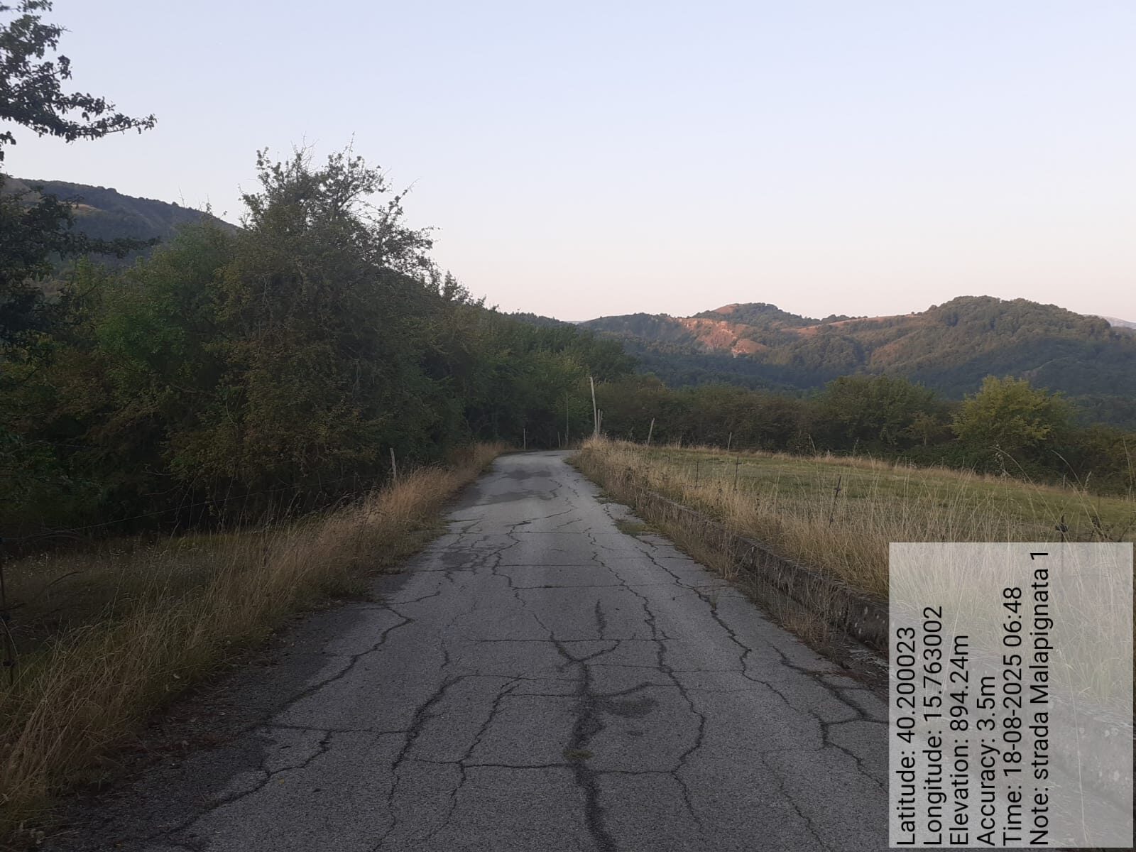 Galleria Fotografica Immagine