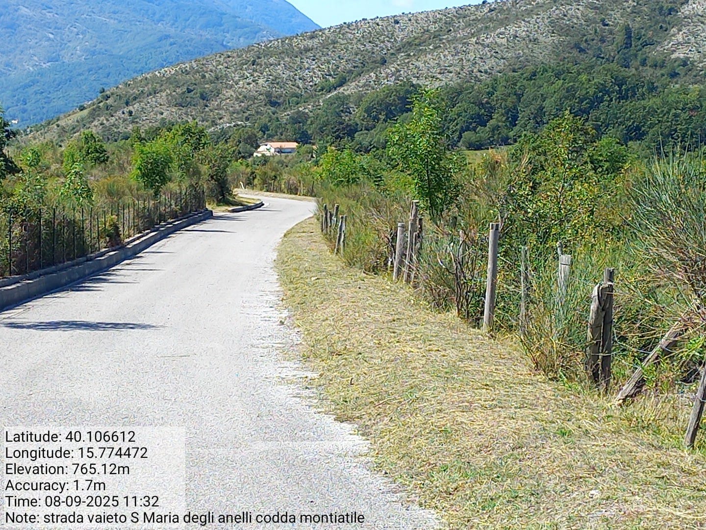 Galleria Fotografica Immagine