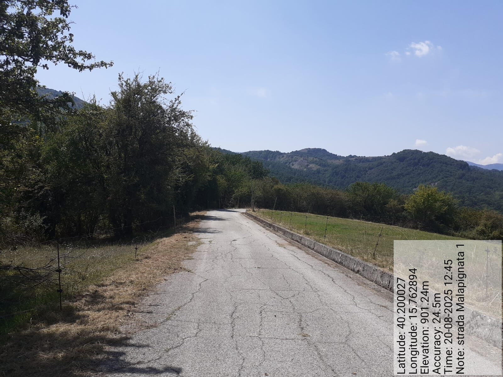 Galleria Fotografica Immagine