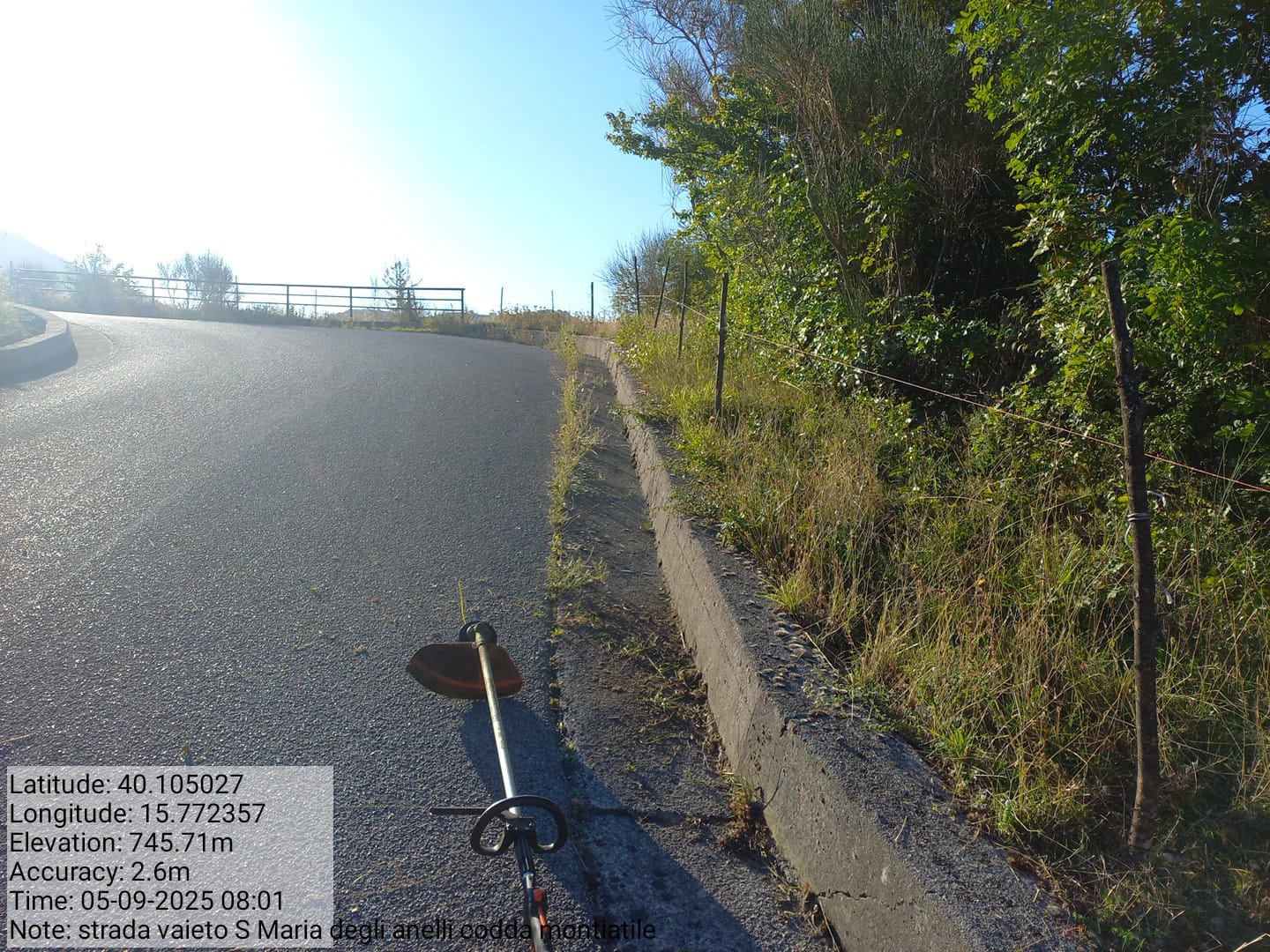 Galleria Fotografica Immagine