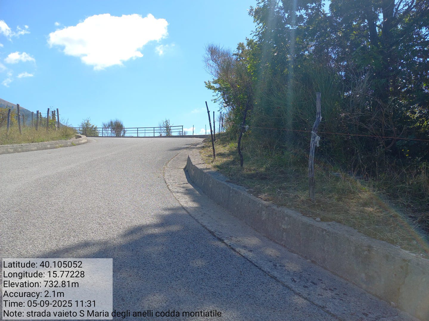 Galleria Fotografica Immagine