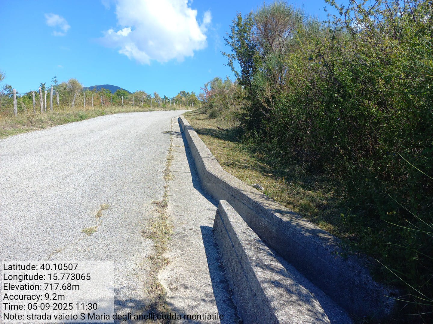 Galleria Fotografica Immagine