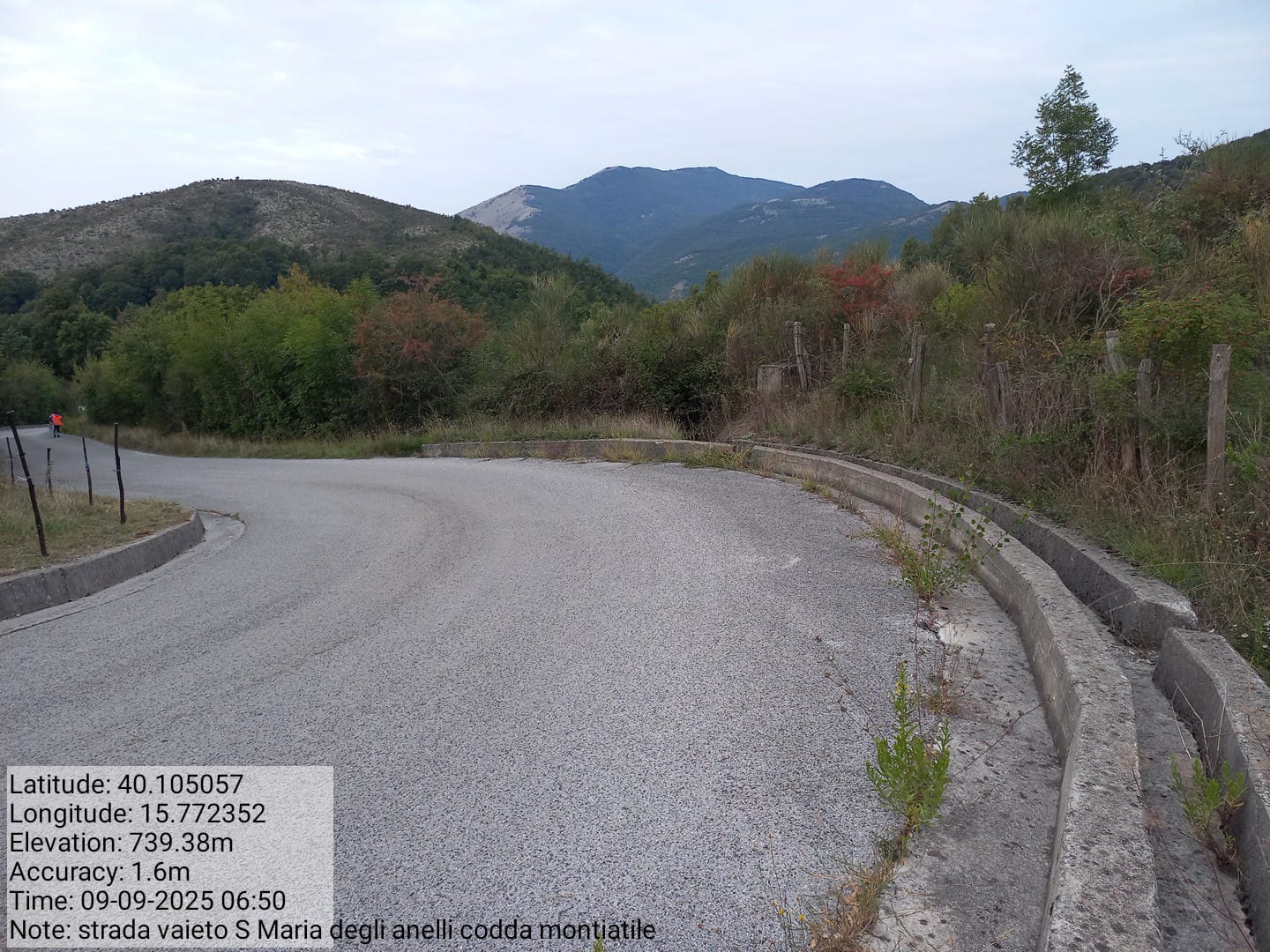 Galleria Fotografica Immagine