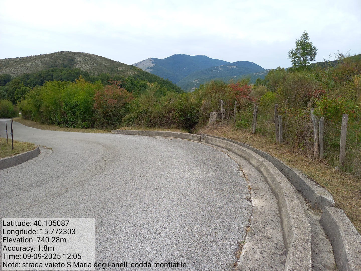 Galleria Fotografica Immagine