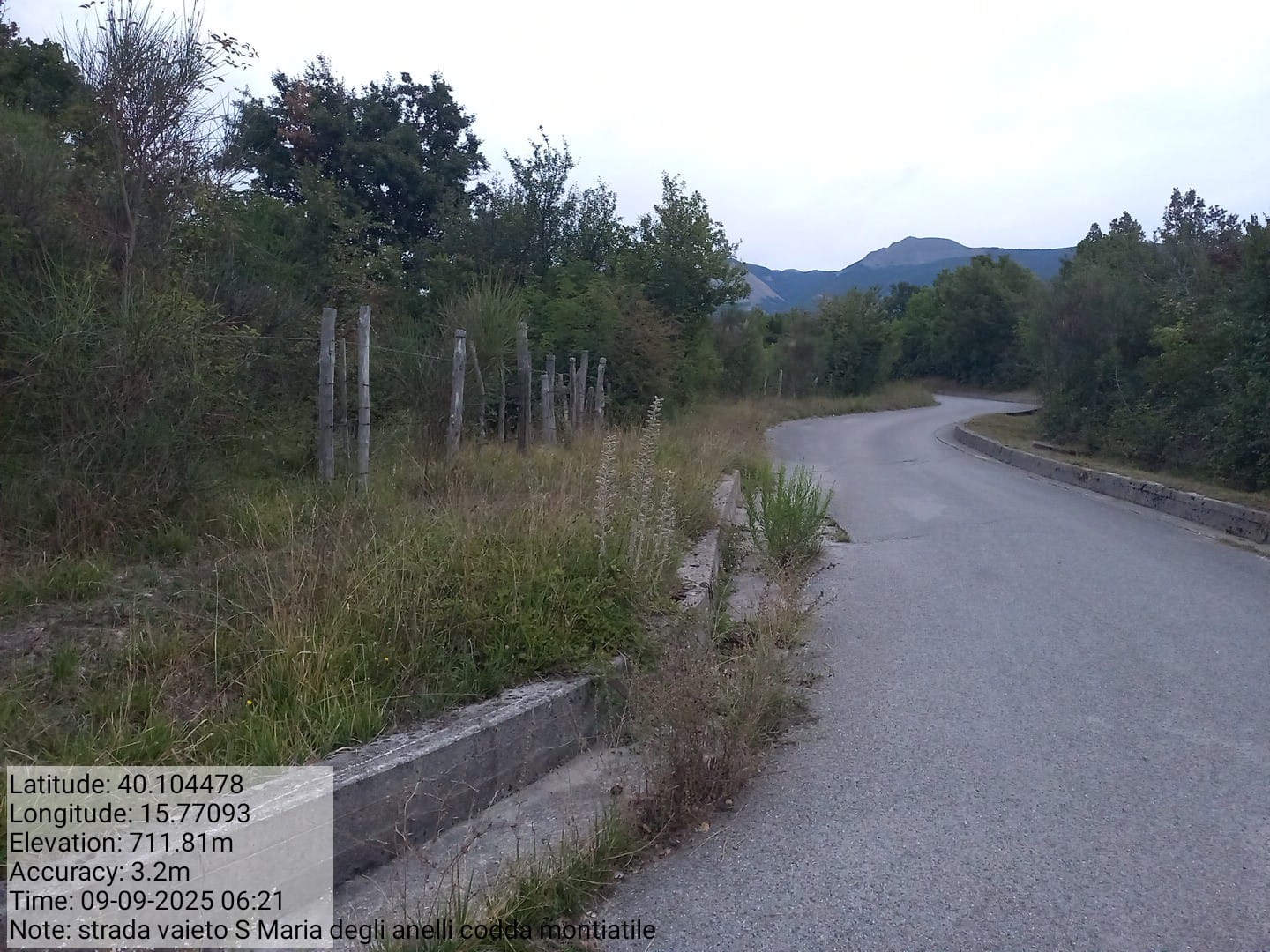 Galleria Fotografica Immagine