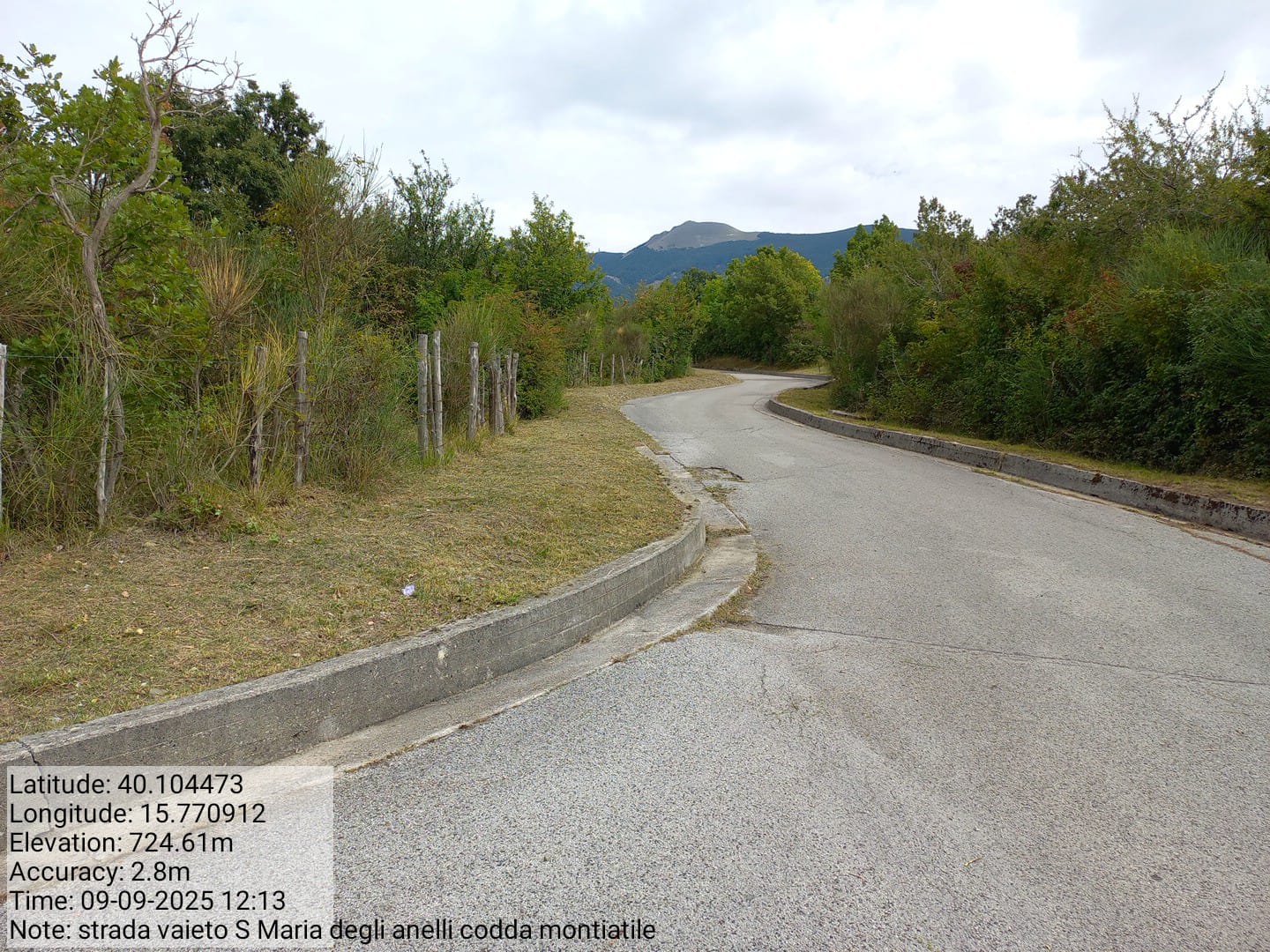 Galleria Fotografica Immagine