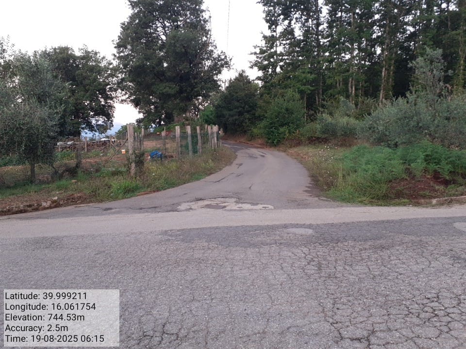 Galleria Fotografica Immagine