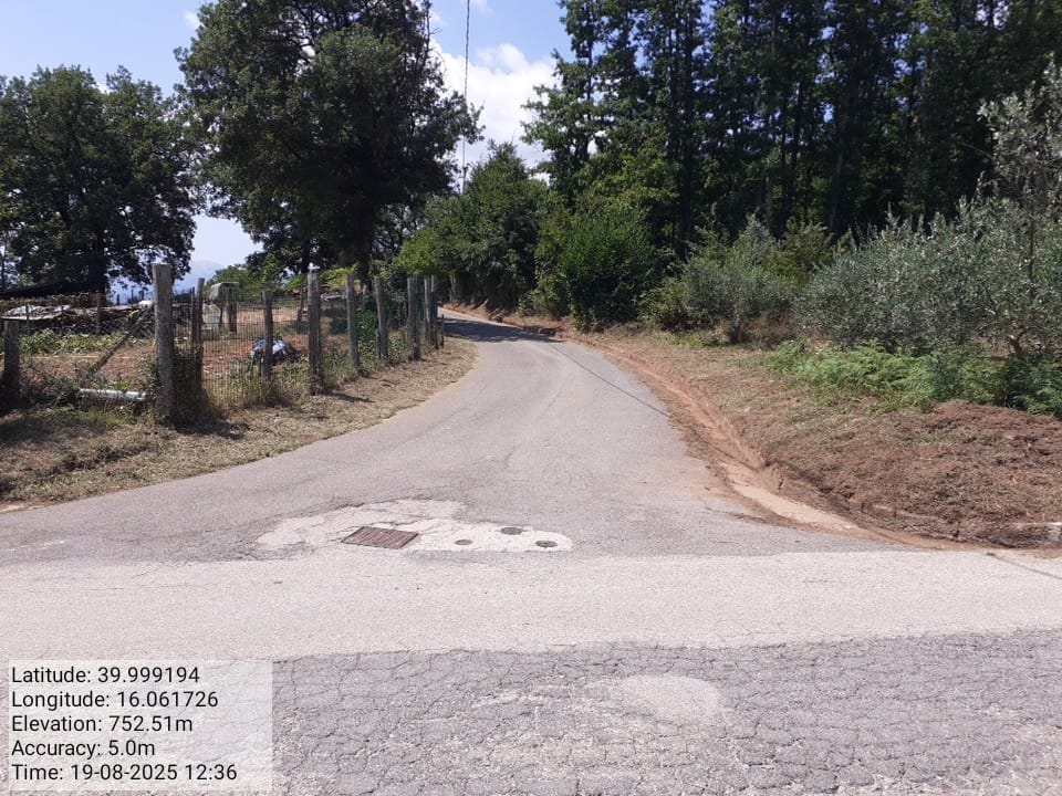 Galleria Fotografica Immagine