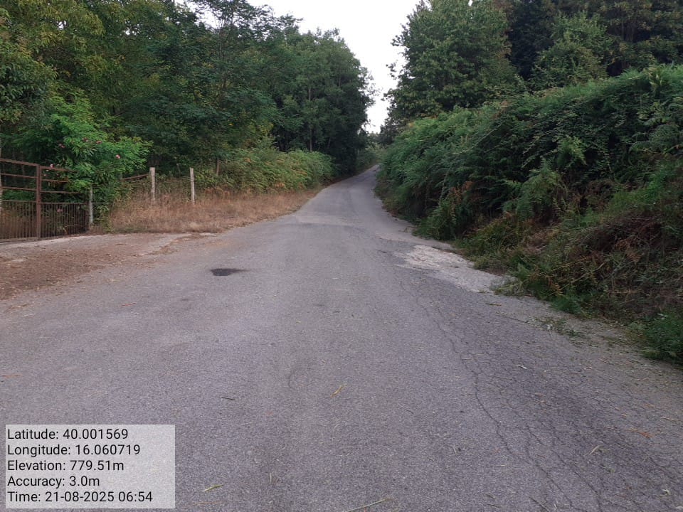 Galleria Fotografica Immagine