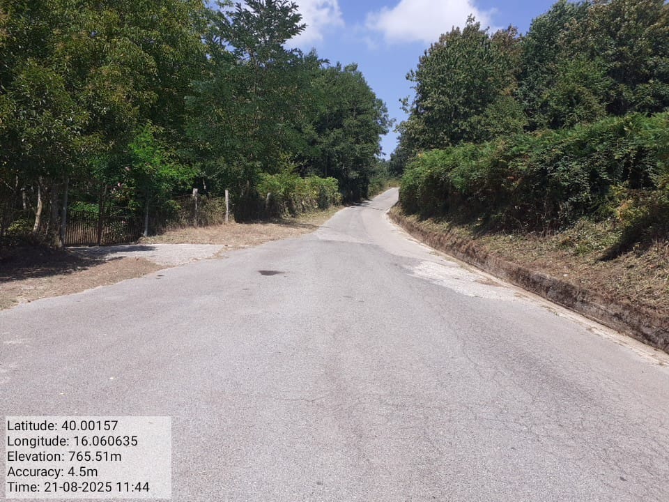 Galleria Fotografica Immagine