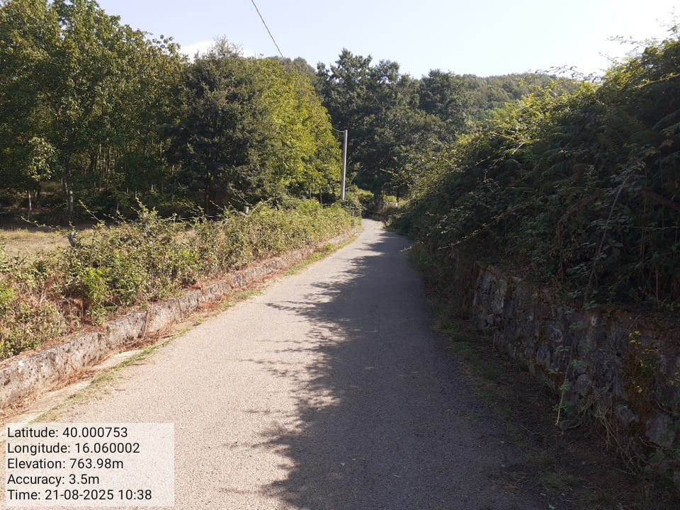 Galleria Fotografica Immagine