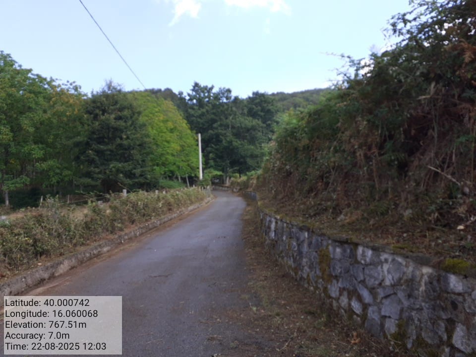 Galleria Fotografica Immagine