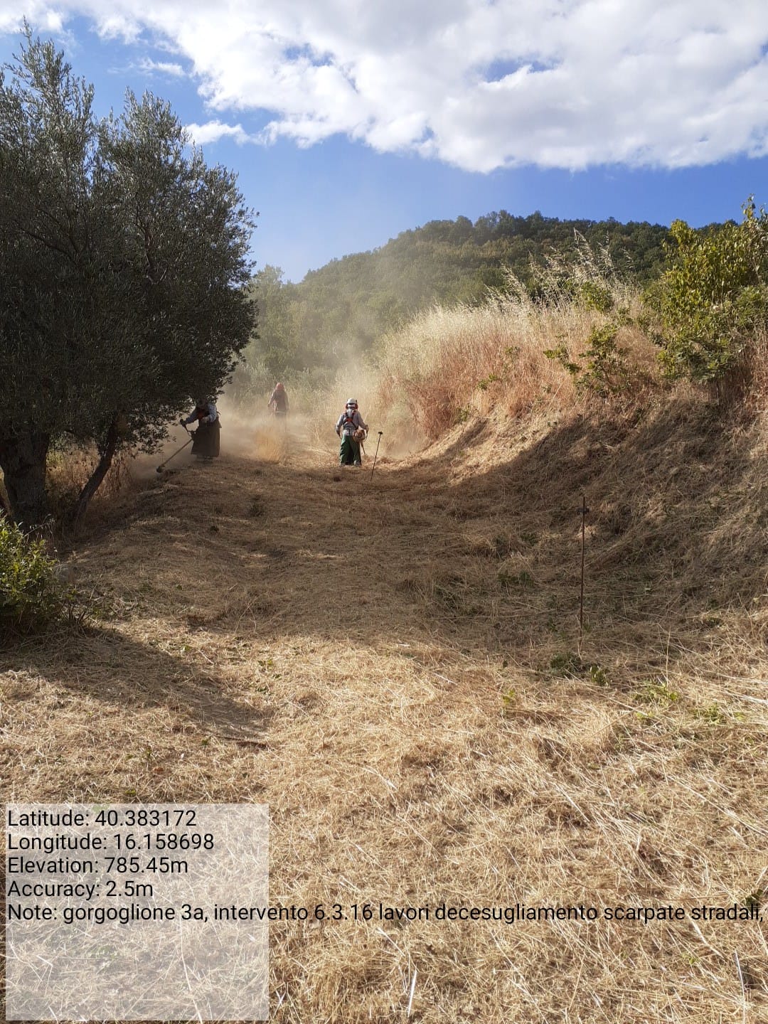 Galleria Fotografica Immagine