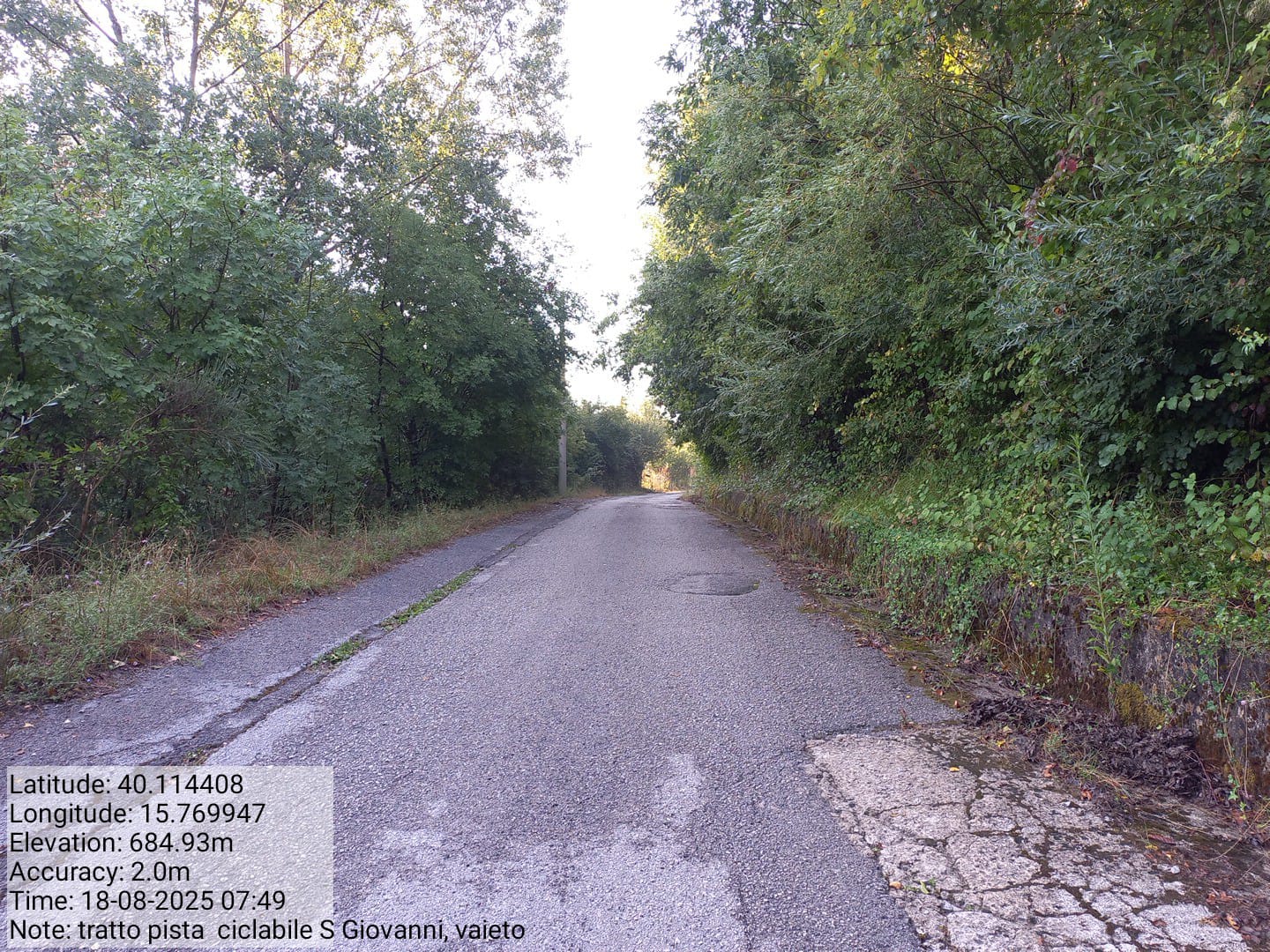 Galleria Fotografica Immagine