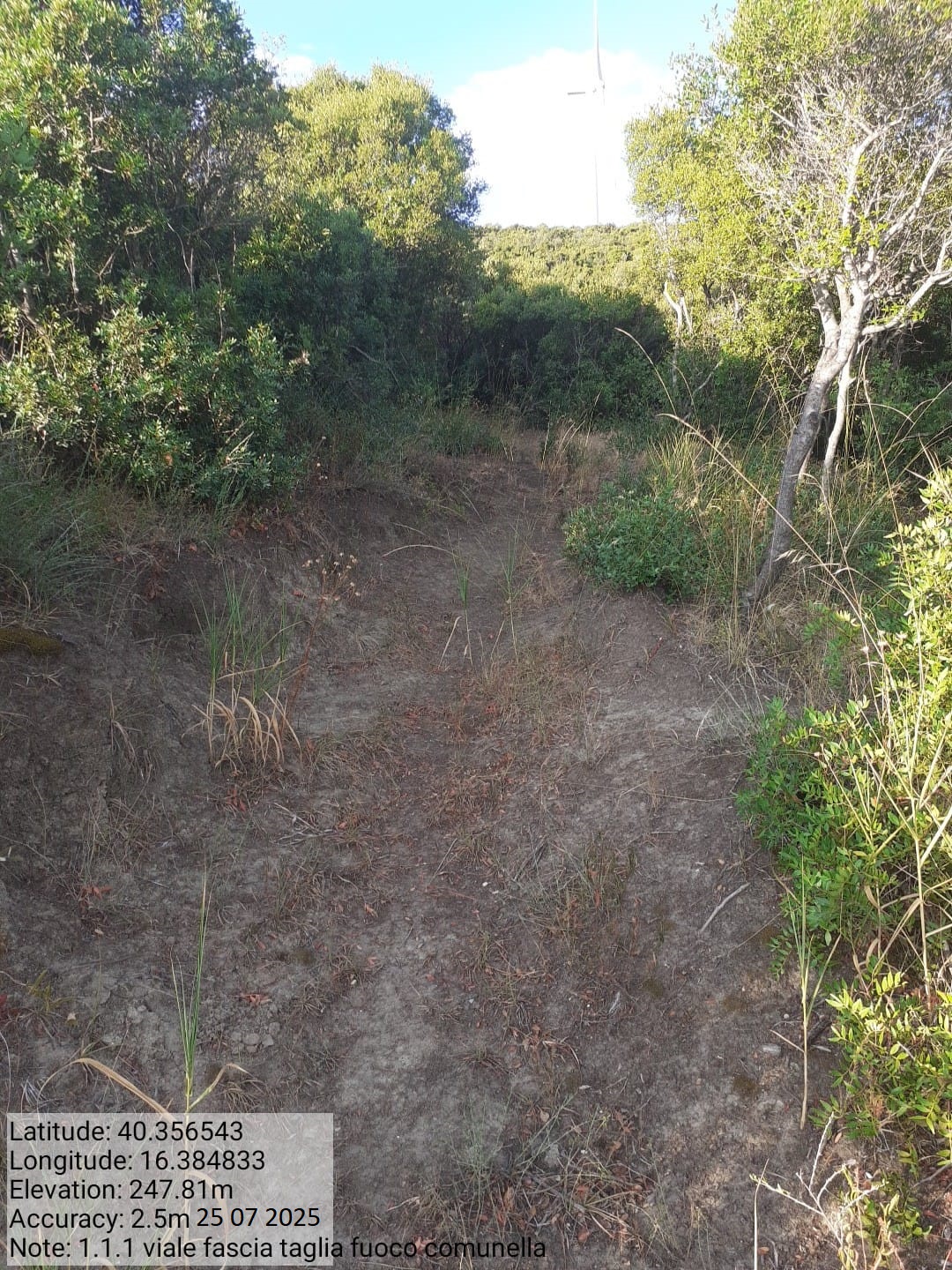 Galleria Fotografica Immagine