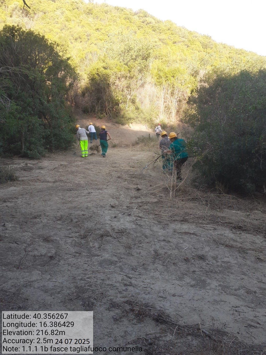 Galleria Fotografica Immagine