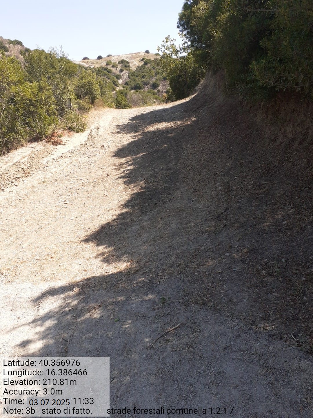 Galleria Fotografica Immagine