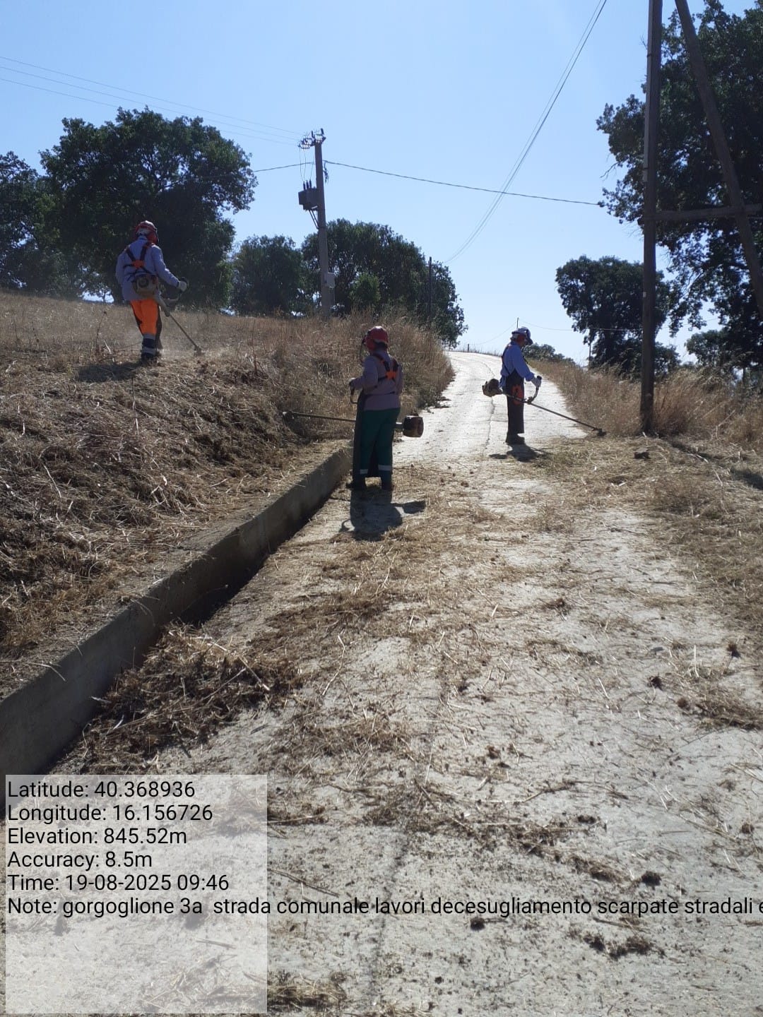 Galleria Fotografica Immagine