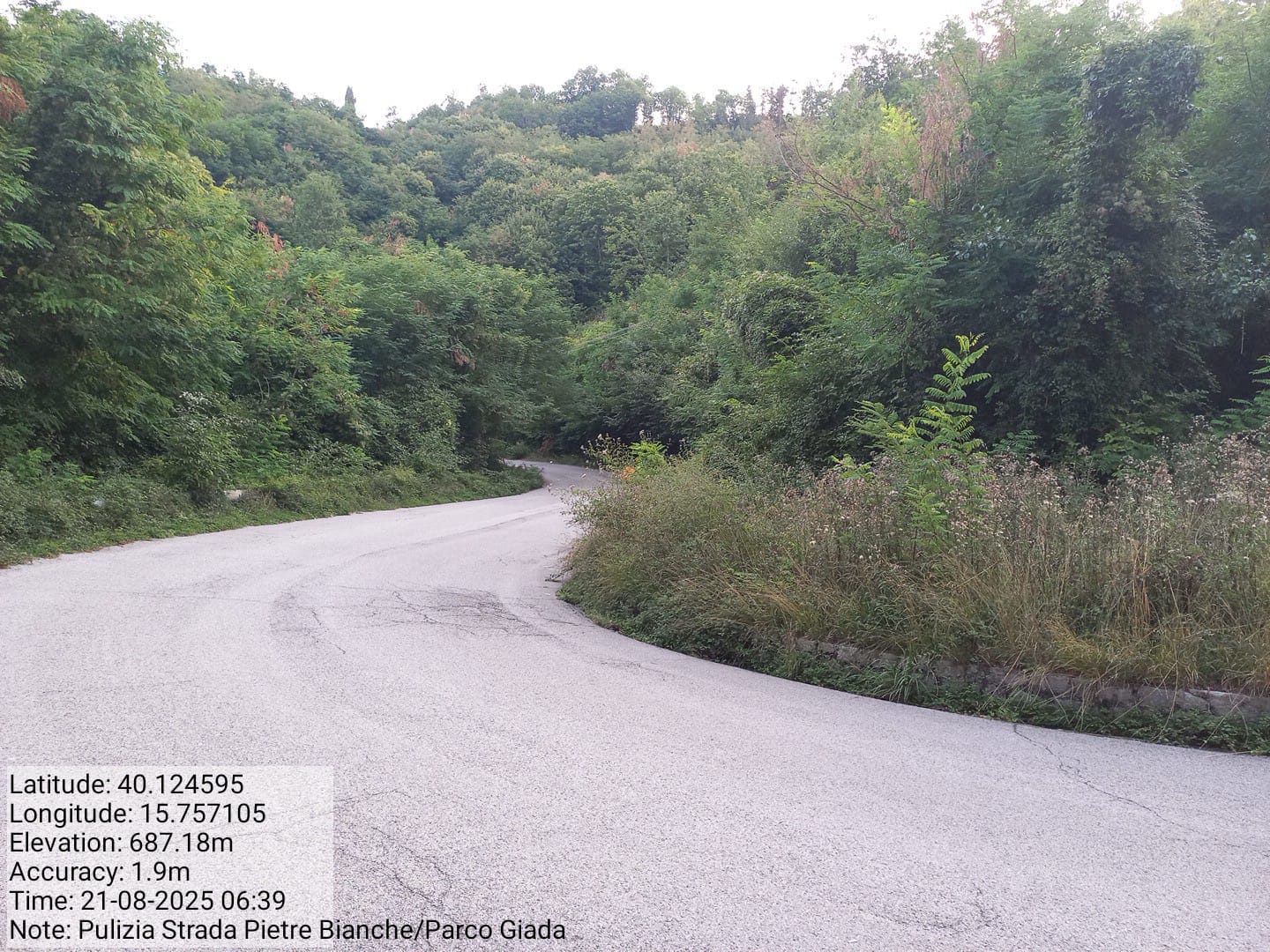 Galleria Fotografica Immagine