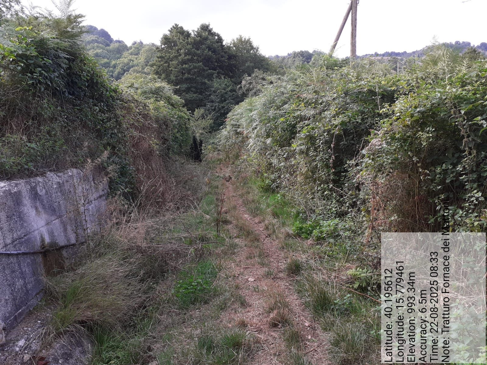 Galleria Fotografica Immagine