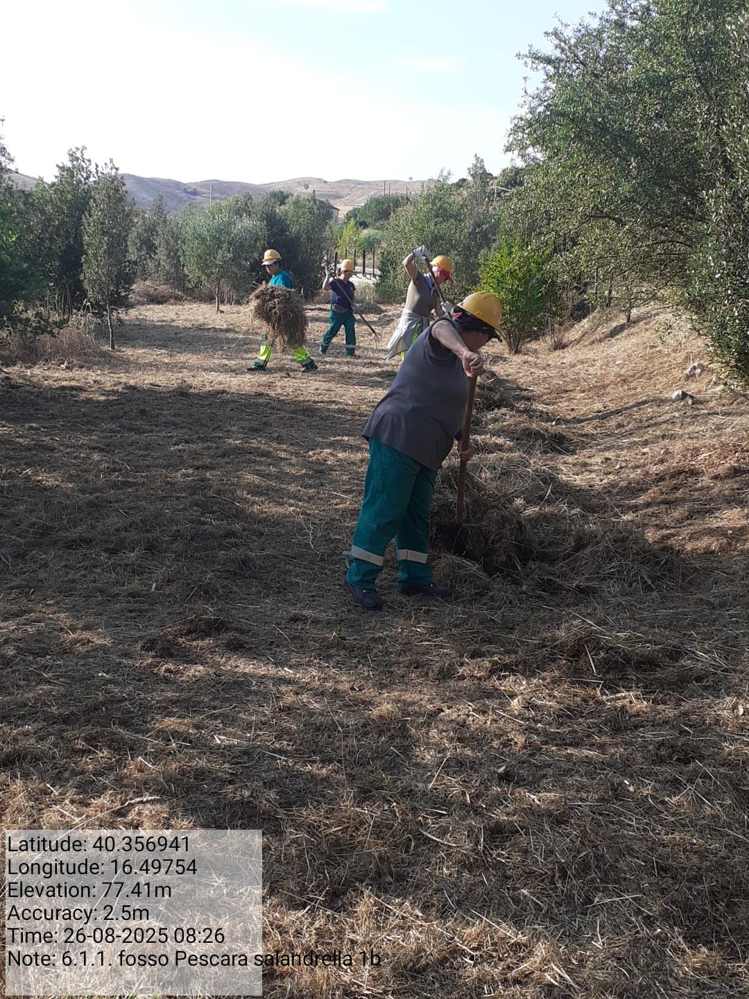 Galleria Fotografica Immagine