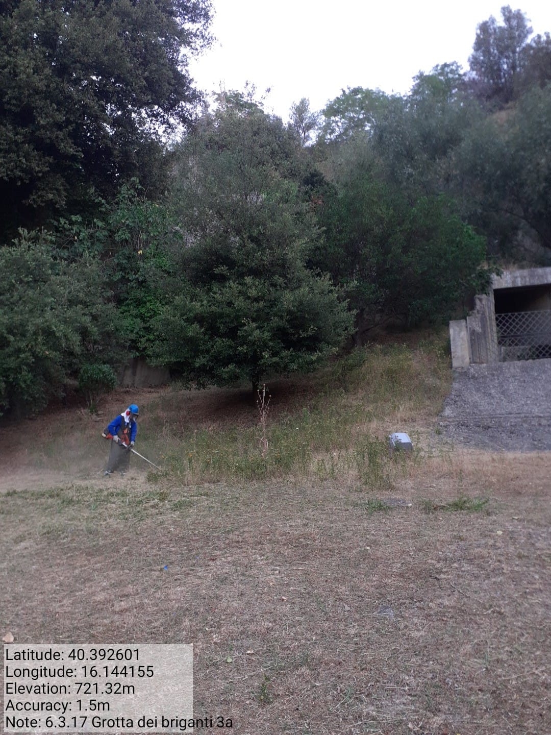 Galleria Fotografica Immagine