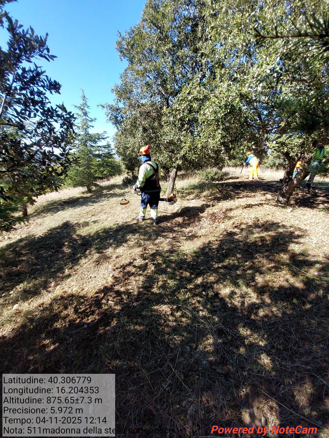 Galleria Fotografica Immagine