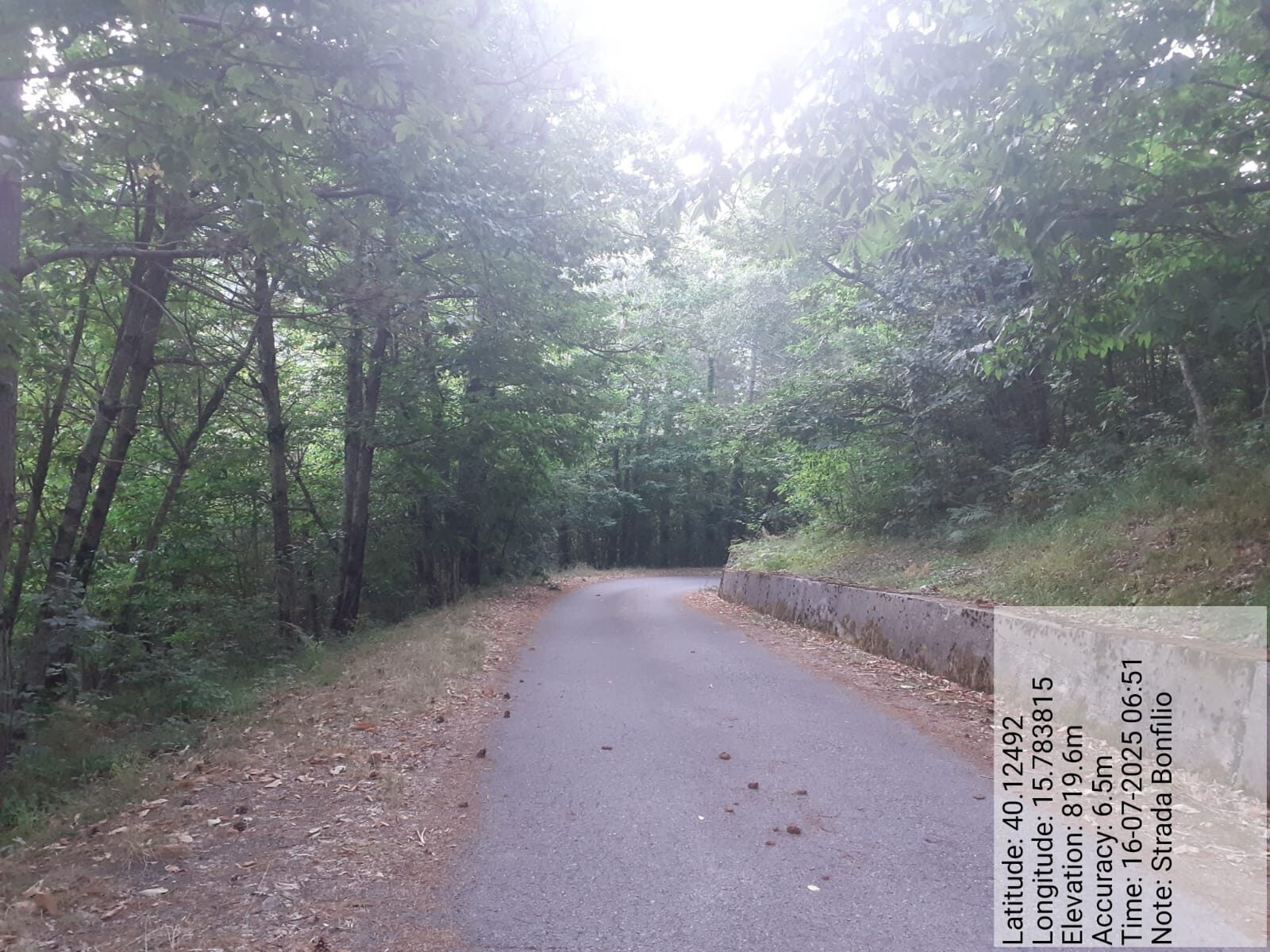 Galleria Fotografica Immagine