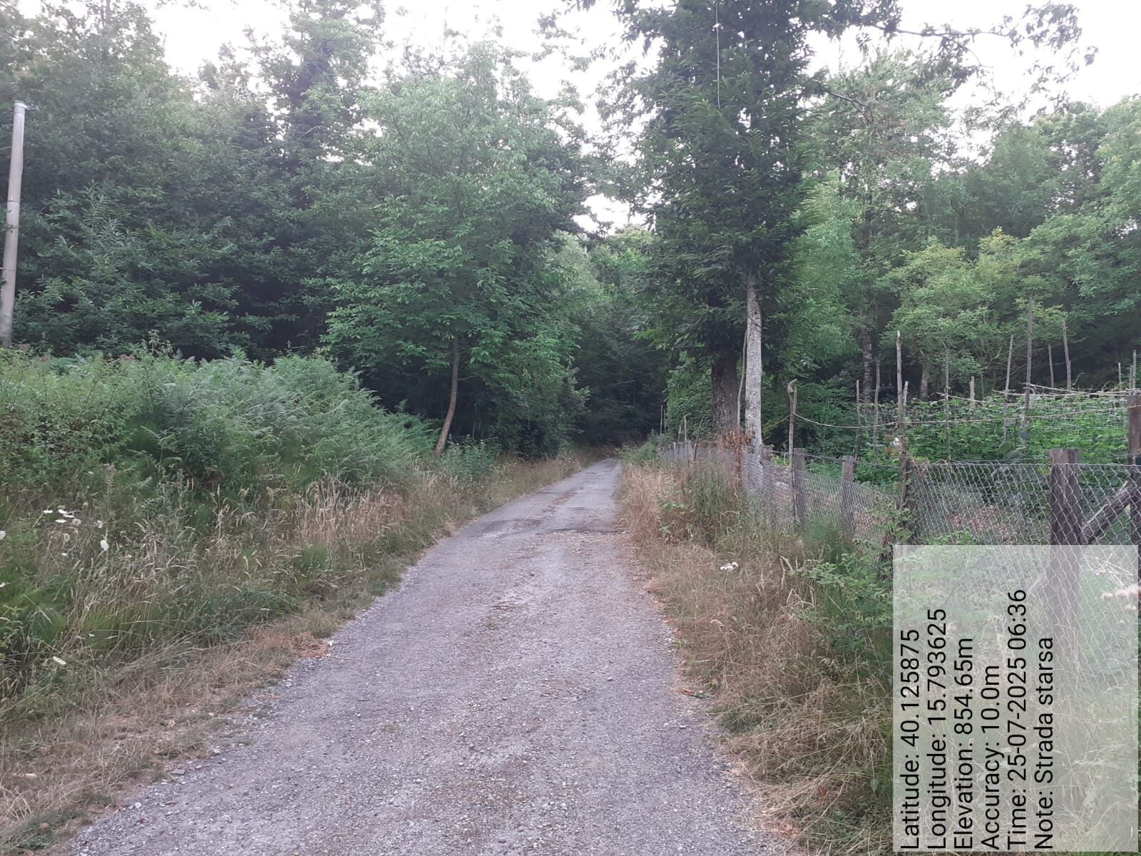 Galleria Fotografica Immagine