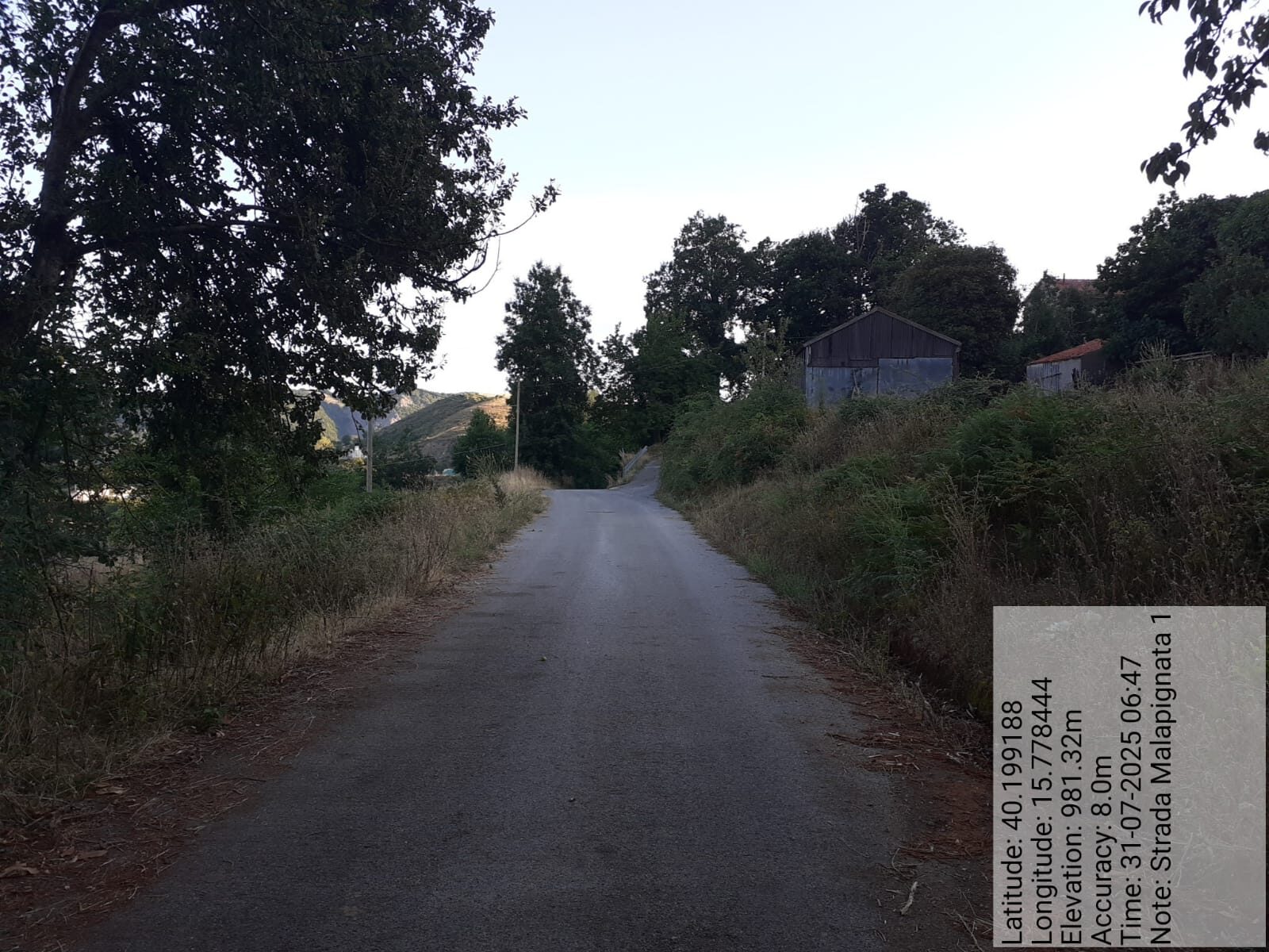 Galleria Fotografica Immagine