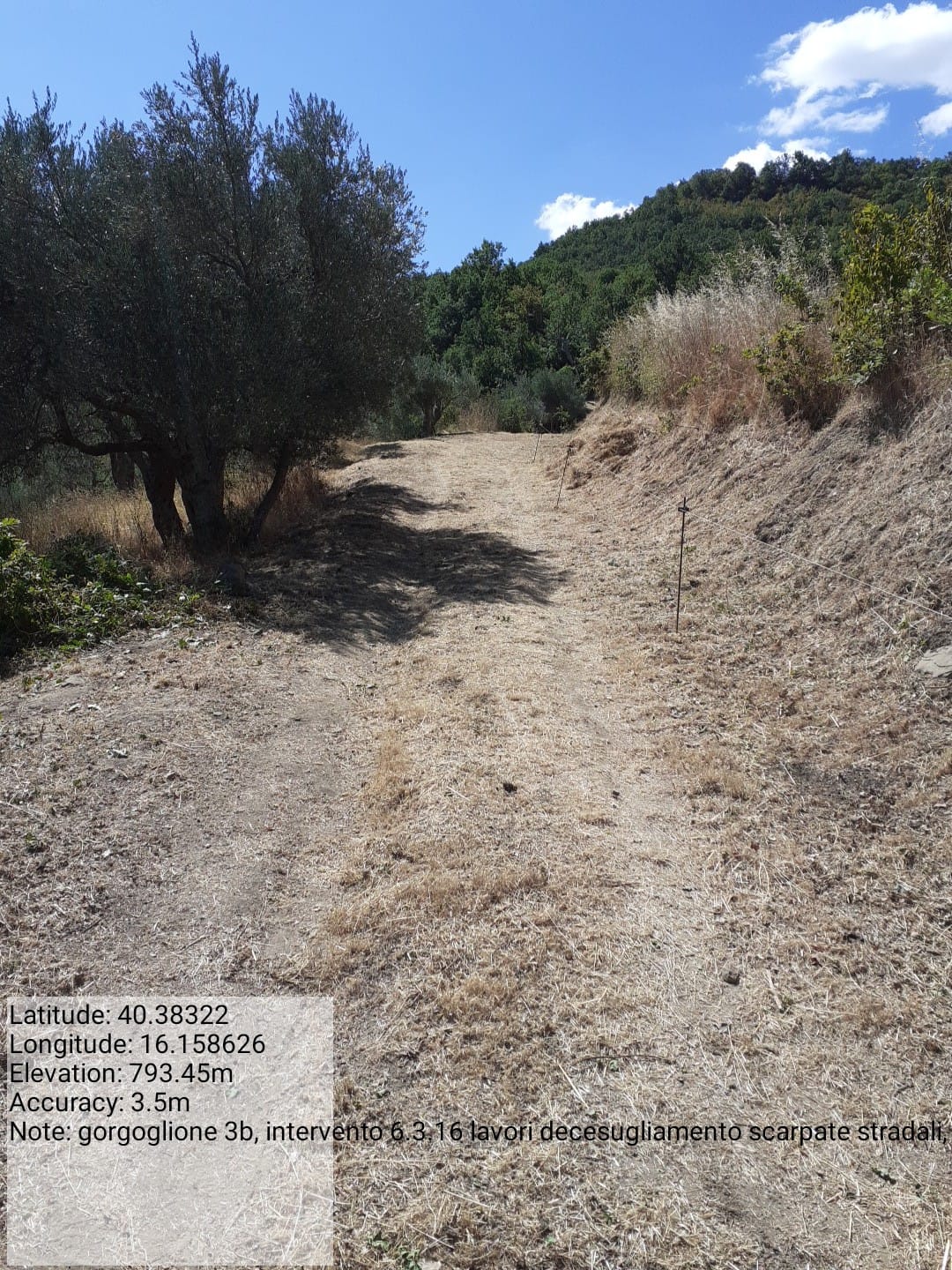 Galleria Fotografica Immagine