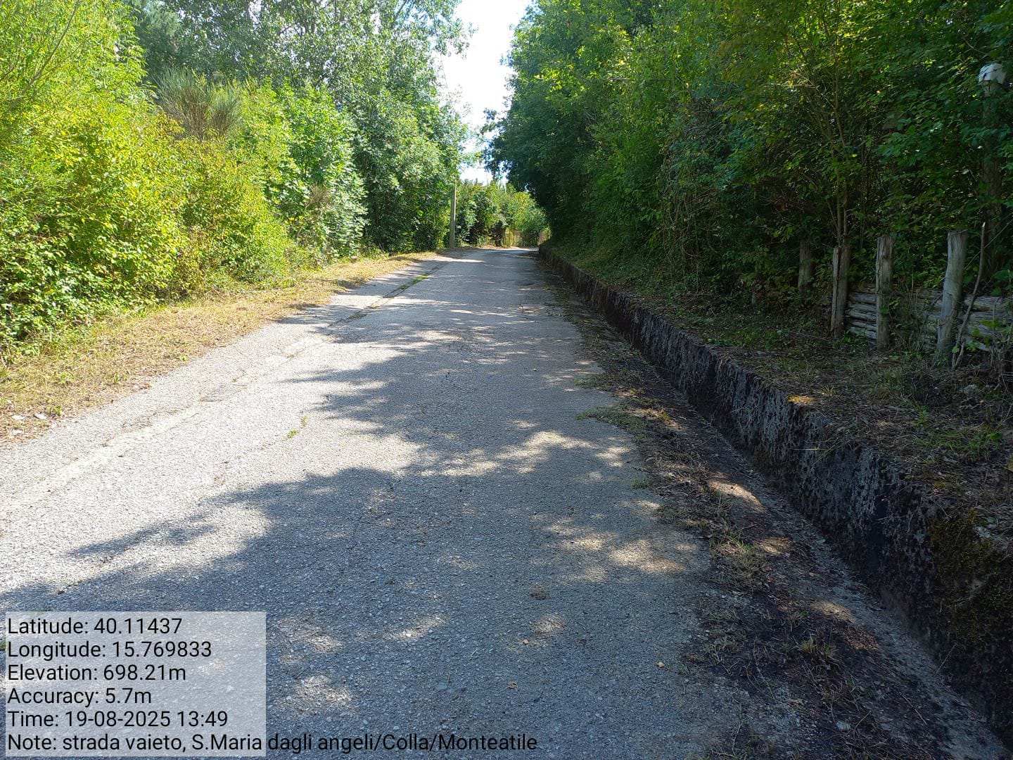 Galleria Fotografica Immagine