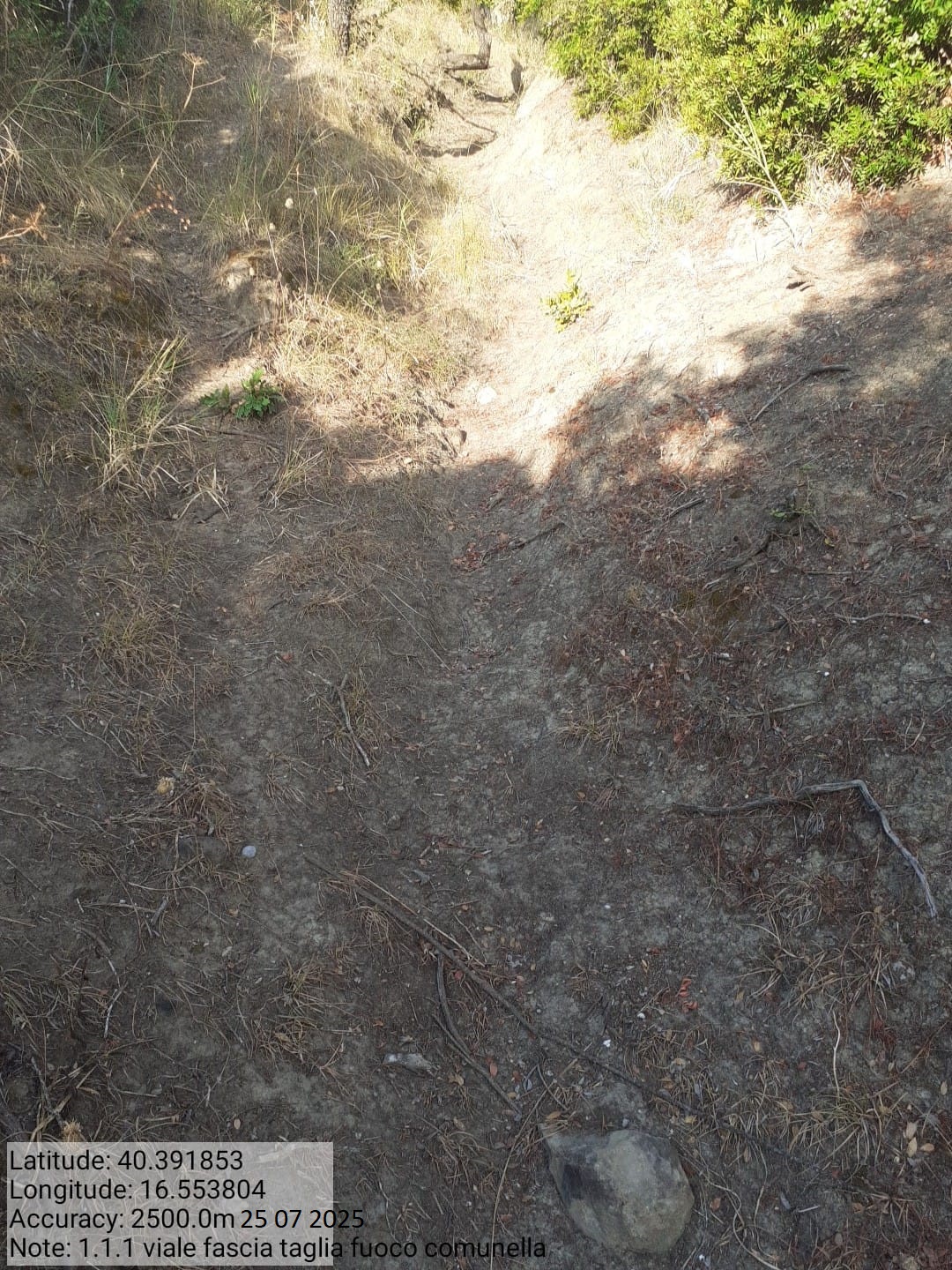 Galleria Fotografica Immagine