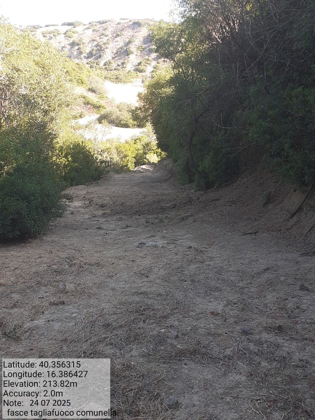 Galleria Fotografica Immagine