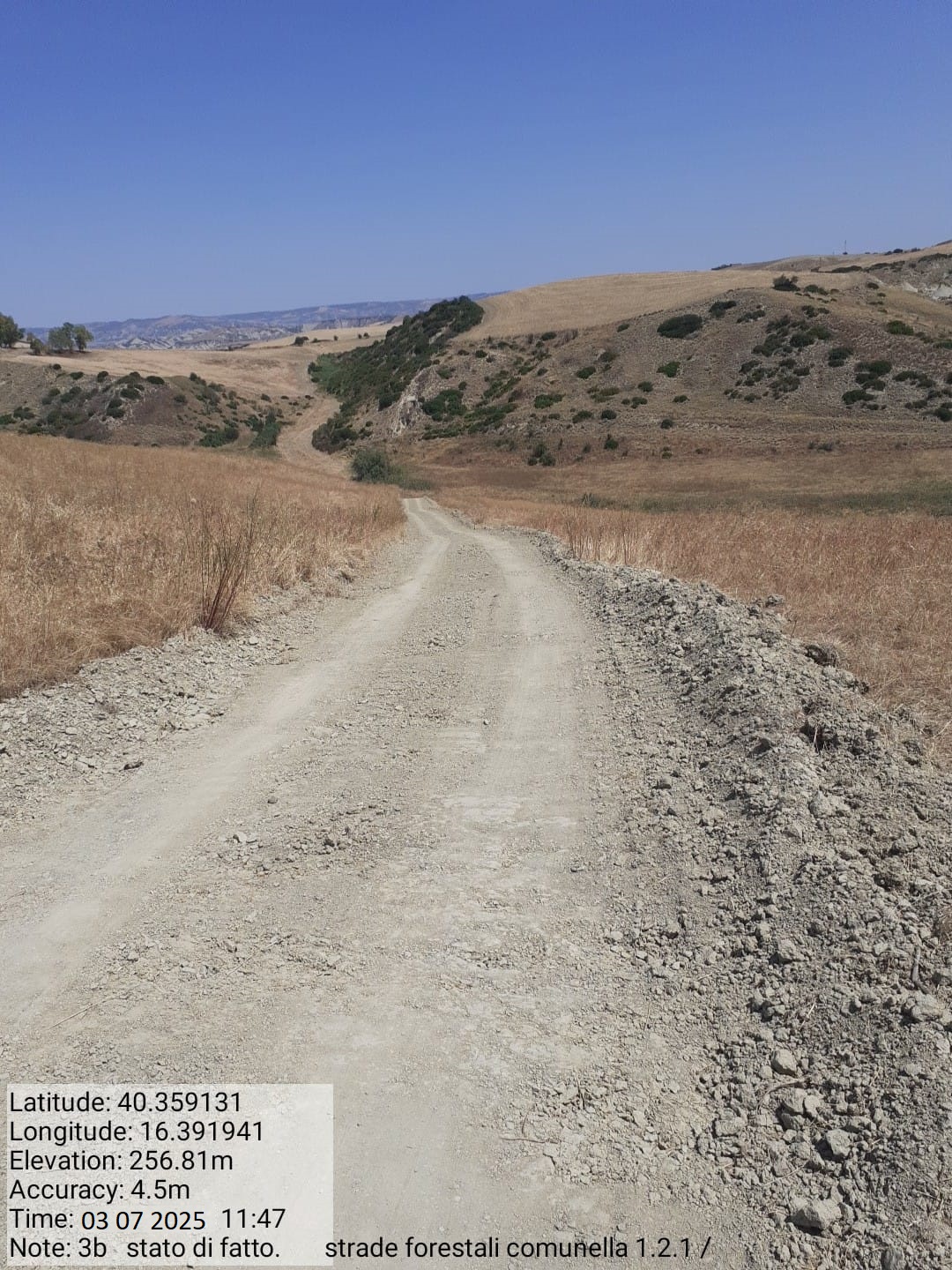 Galleria Fotografica Immagine