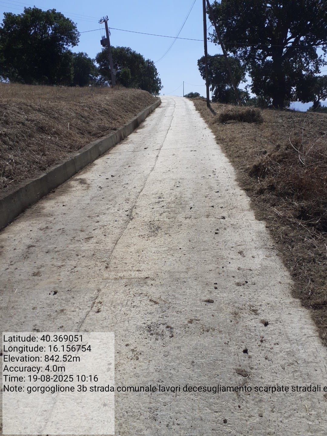 Galleria Fotografica Immagine