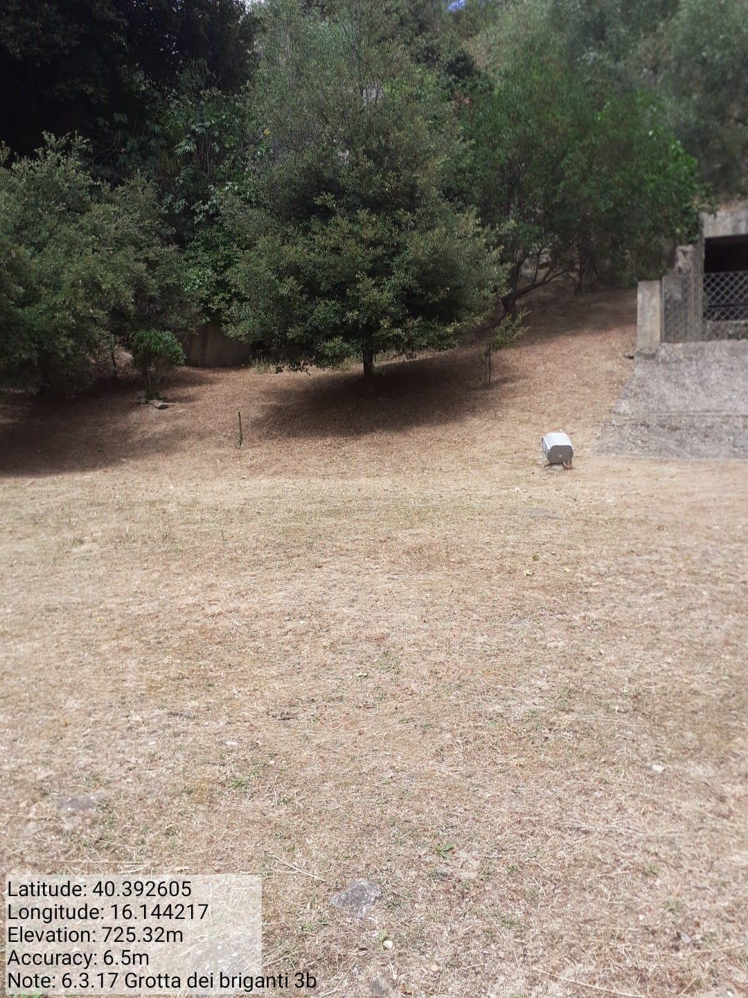 Galleria Fotografica Immagine