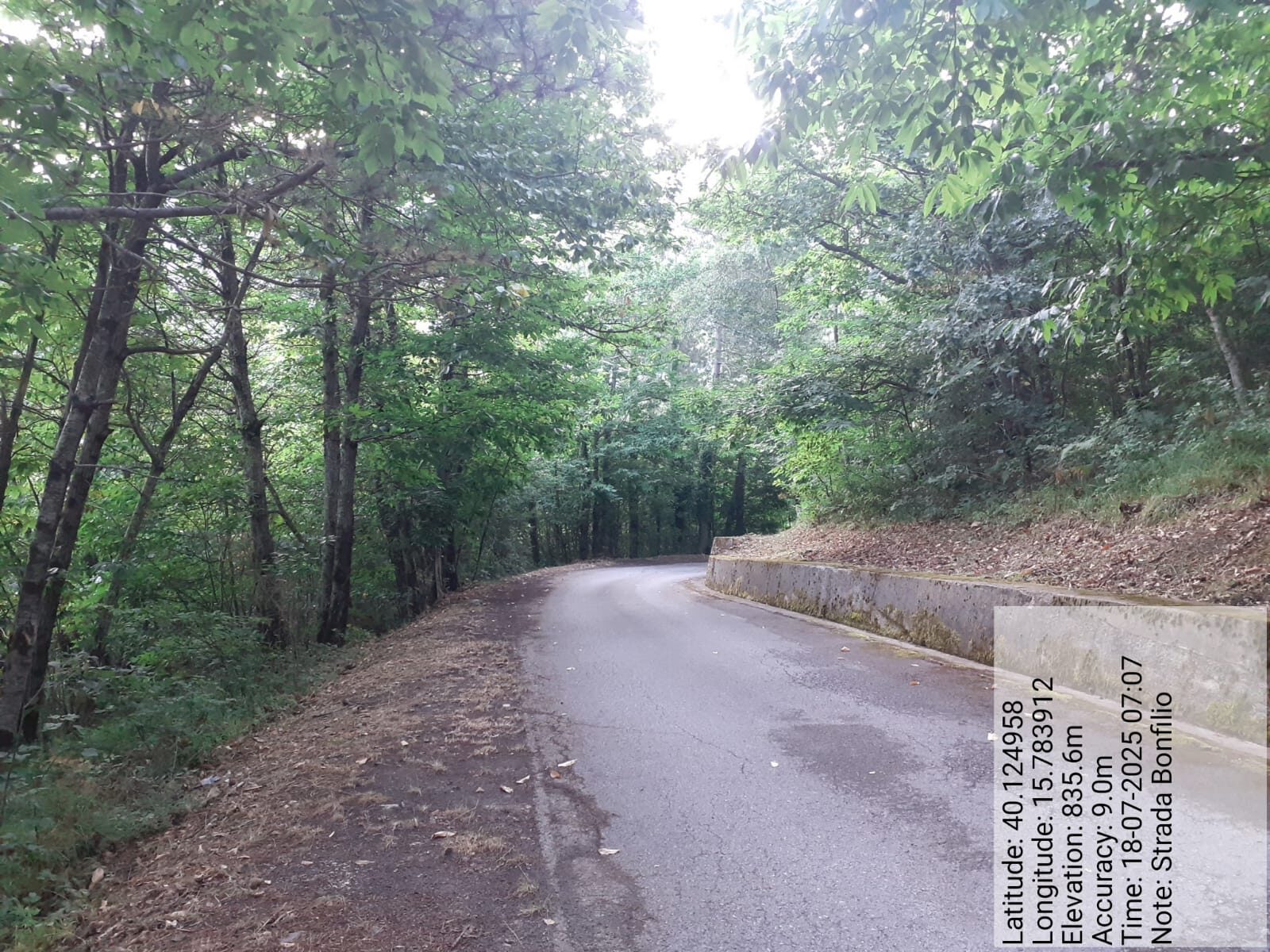 Galleria Fotografica Immagine