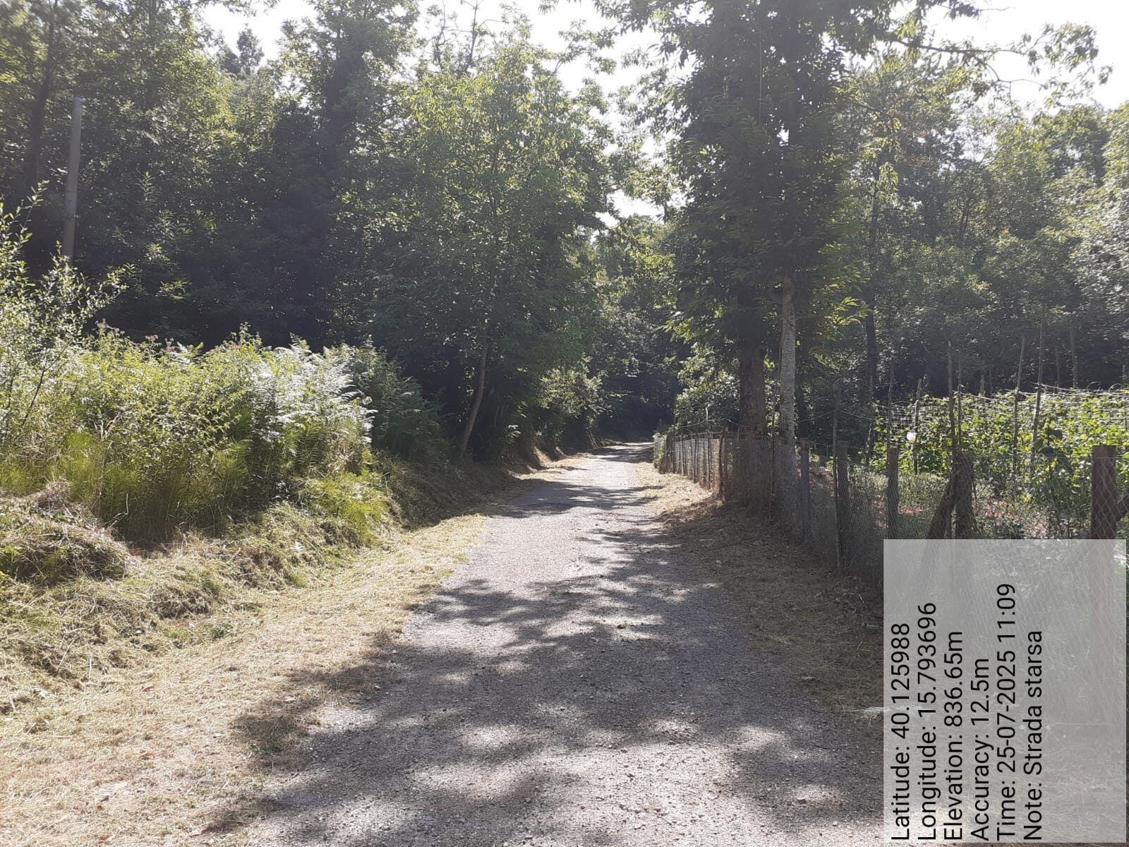 Galleria Fotografica Immagine