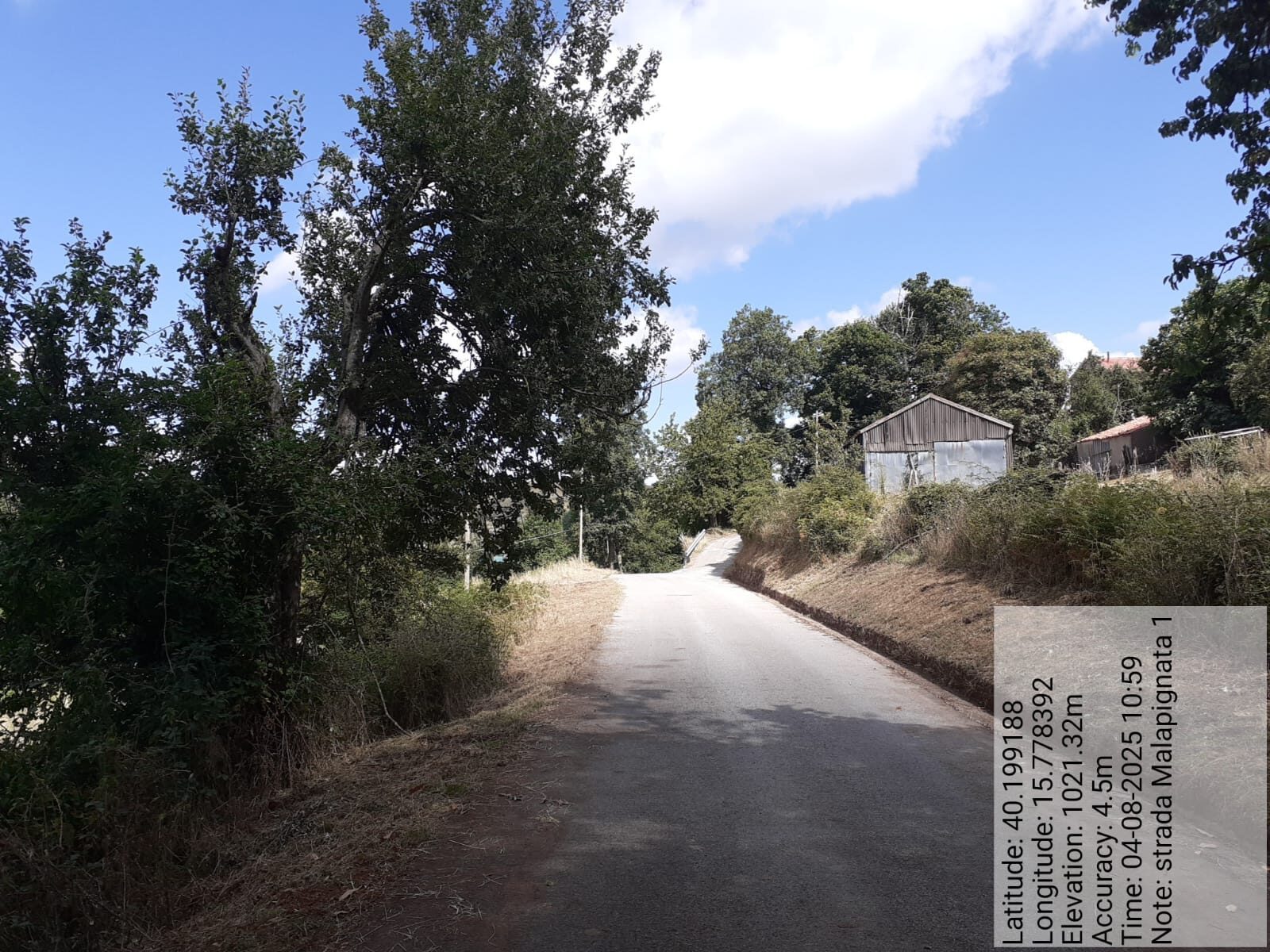 Galleria Fotografica Immagine