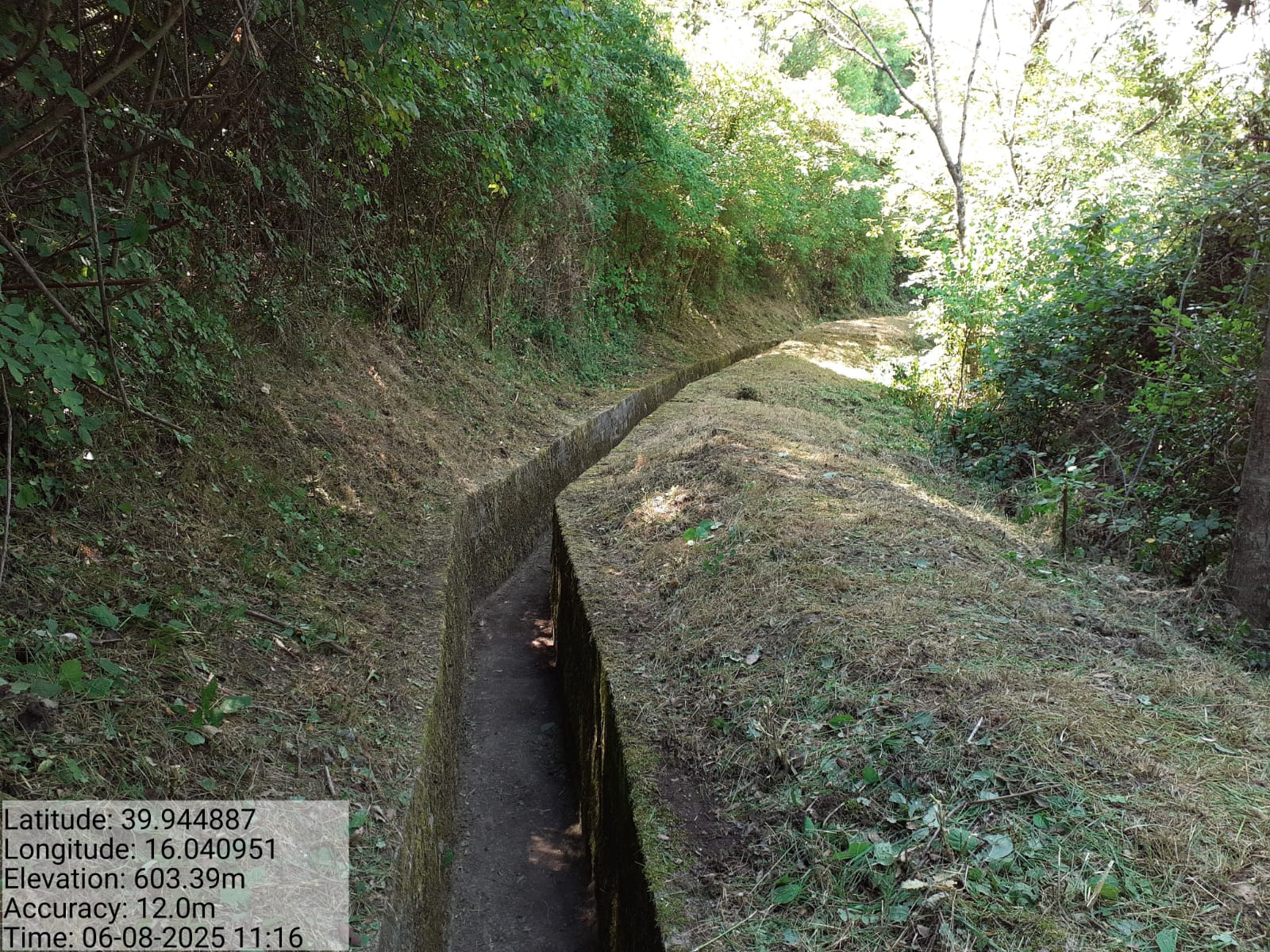 Galleria Fotografica Immagine