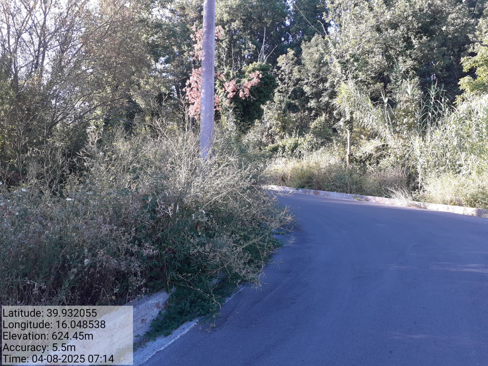 Galleria Fotografica Immagine